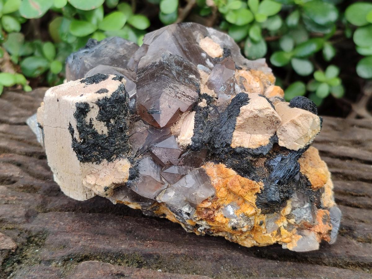 Natural Smokey Quartz Custers with Inclusions x 2 From Erongo, Namibia