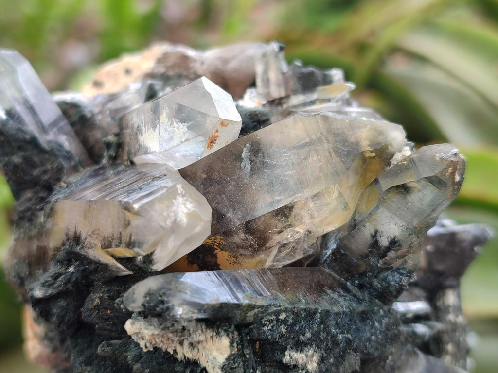 Natural Smokey Quartz Custers with Inclusions x 2 From Erongo, Namibia