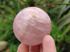 Polished Small Gemmy Rose Quartz Spheres x 7 From Madagascar