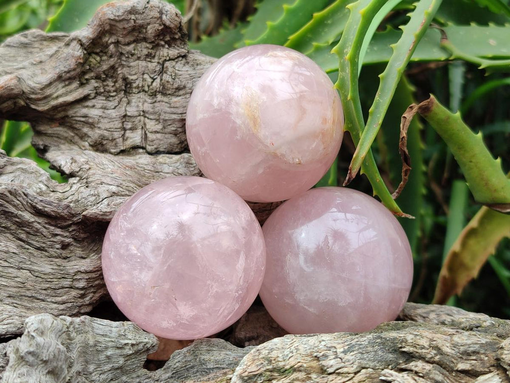 Polished Small Gemmy Rose Quartz Spheres x 7 From Madagascar