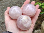 Polished Small Gemmy Rose Quartz Spheres x 7 From Madagascar
