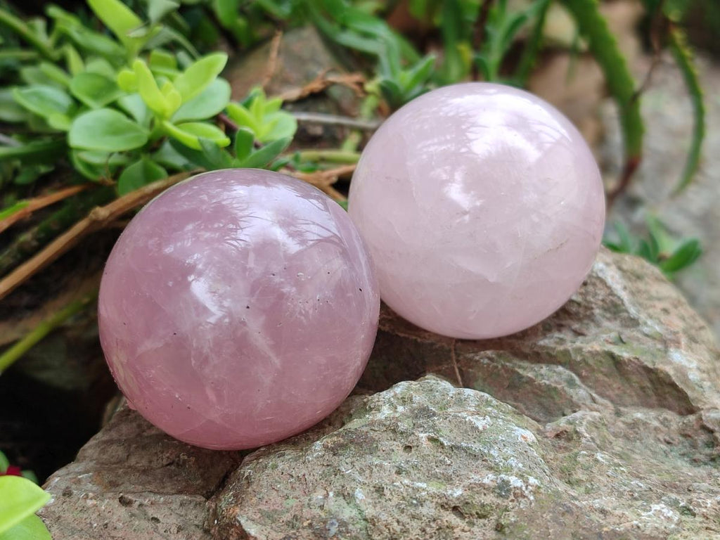 Polished Small Gemmy Rose Quartz Spheres x 7 From Madagascar