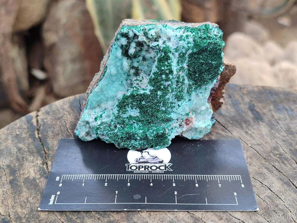 Natural Bladed and Botryoidal Drusy Chrysocolla Pseudomorph Specimens x 6 From Lupoto Mine, Congo