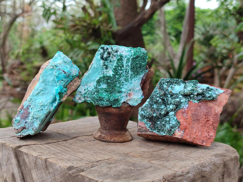 Natural Bladed and Botryoidal Drusy Chrysocolla Pseudomorph Specimens x 6 From Lupoto Mine, Congo