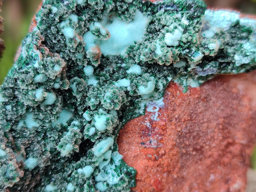 Natural Bladed and Botryoidal Drusy Chrysocolla Pseudomorph Specimens x 6 From Lupoto Mine, Congo