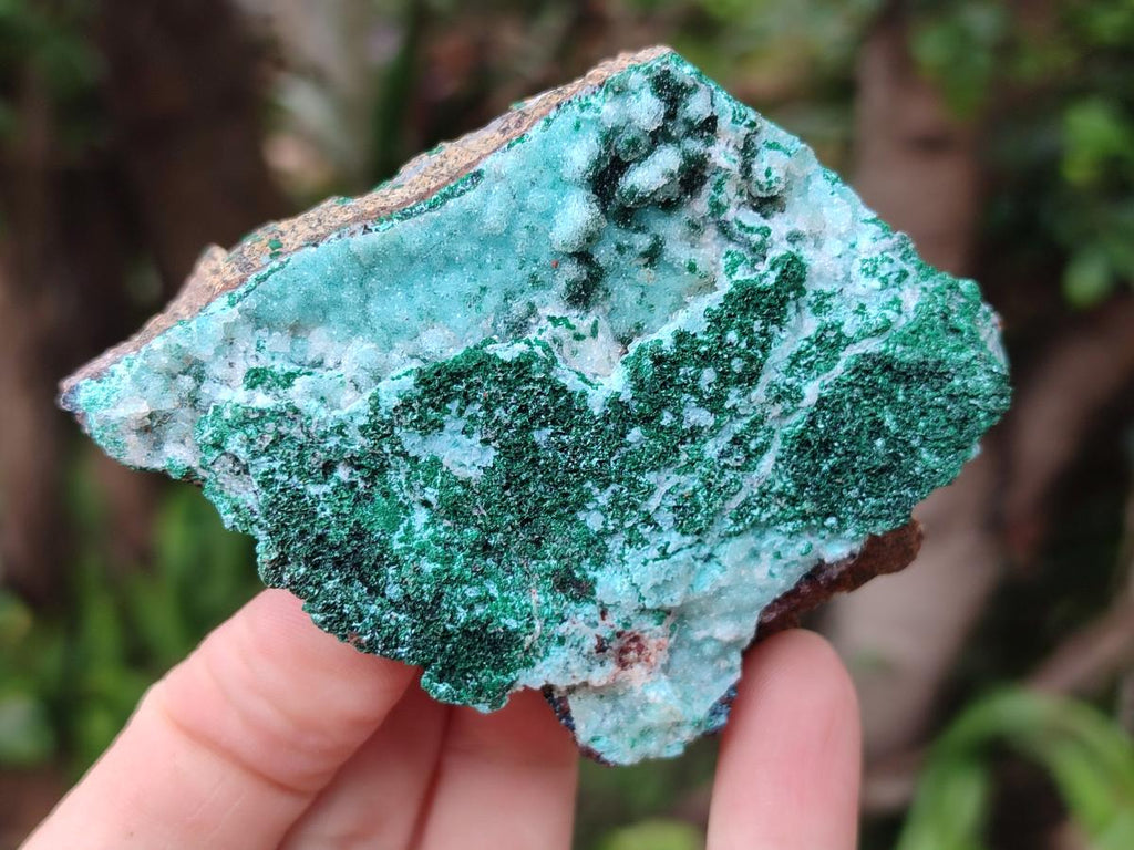 Natural Bladed and Botryoidal Drusy Chrysocolla Pseudomorph Specimens x 6 From Lupoto Mine, Congo