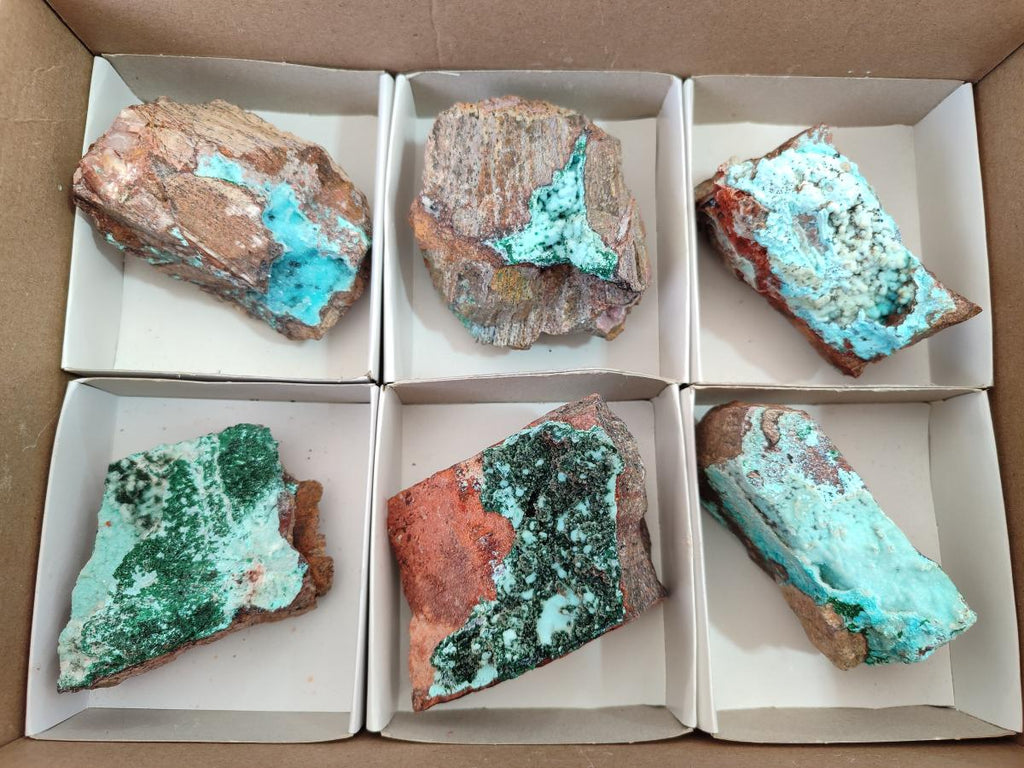 Natural Bladed and Botryoidal Drusy Chrysocolla Pseudomorph Specimens x 6 From Lupoto Mine, Congo