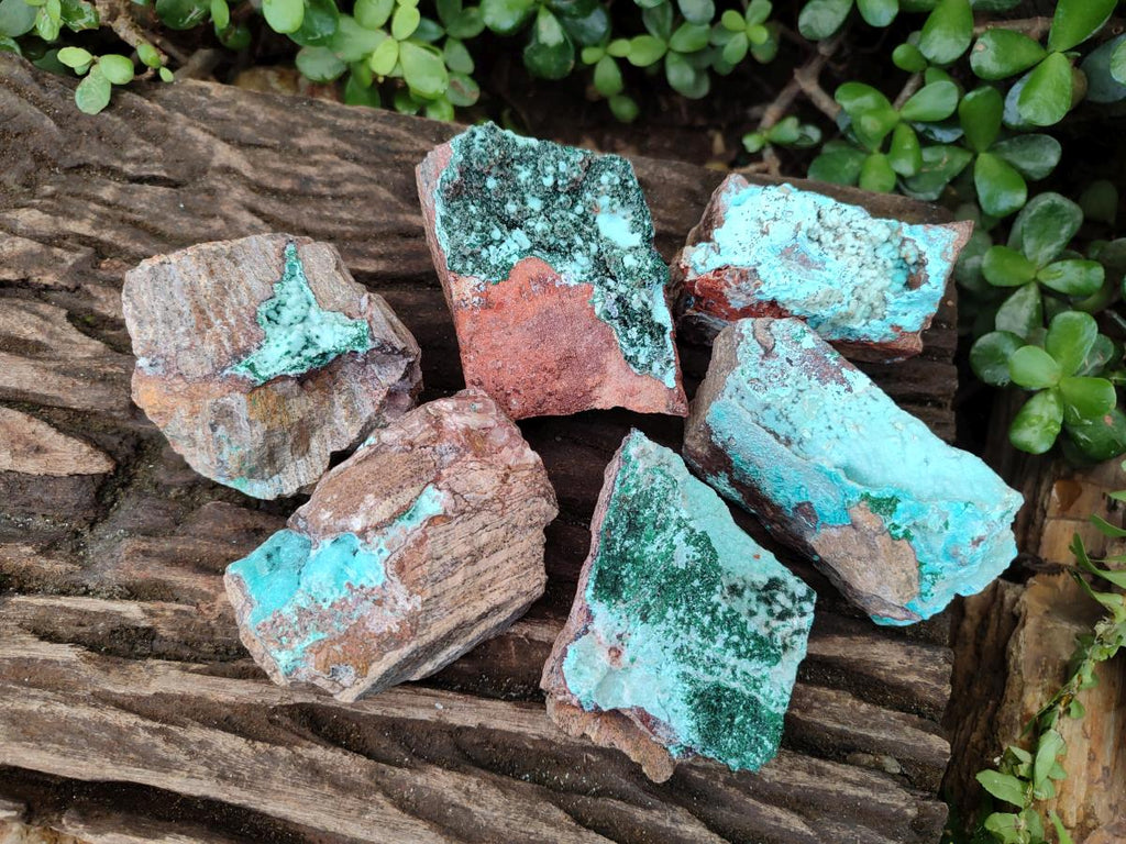 Natural Bladed and Botryoidal Drusy Chrysocolla Pseudomorph Specimens x 6 From Lupoto Mine, Congo