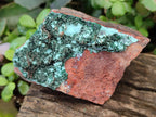Natural Bladed and Botryoidal Drusy Chrysocolla Pseudomorph Specimens x 6 From Lupoto Mine, Congo