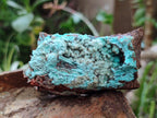 Natural Bladed and Botryoidal Drusy Chrysocolla Pseudomorph Specimens x 6 From Lupoto Mine, Congo