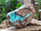 Natural Bladed and Botryoidal Drusy Chrysocolla Pseudomorph Specimens x 6 From Lupoto Mine, Congo