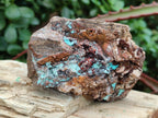 Natural Bladed and Botryoidal Drusy Chrysocolla Pseudomorph Specimens x 6 From Lupoto Mine, Congo