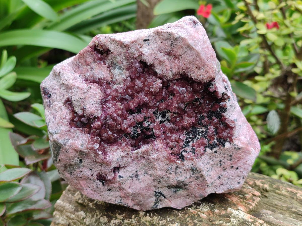 Natural Large Spherocobaltite Specimen x 1 From Mashamba West Mine, Congo