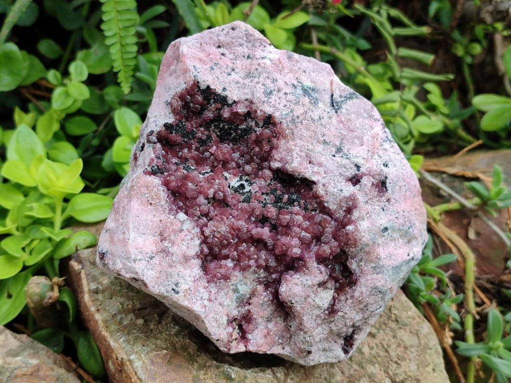 Natural Large Spherocobaltite Specimen x 1 From Mashamba West Mine, Congo