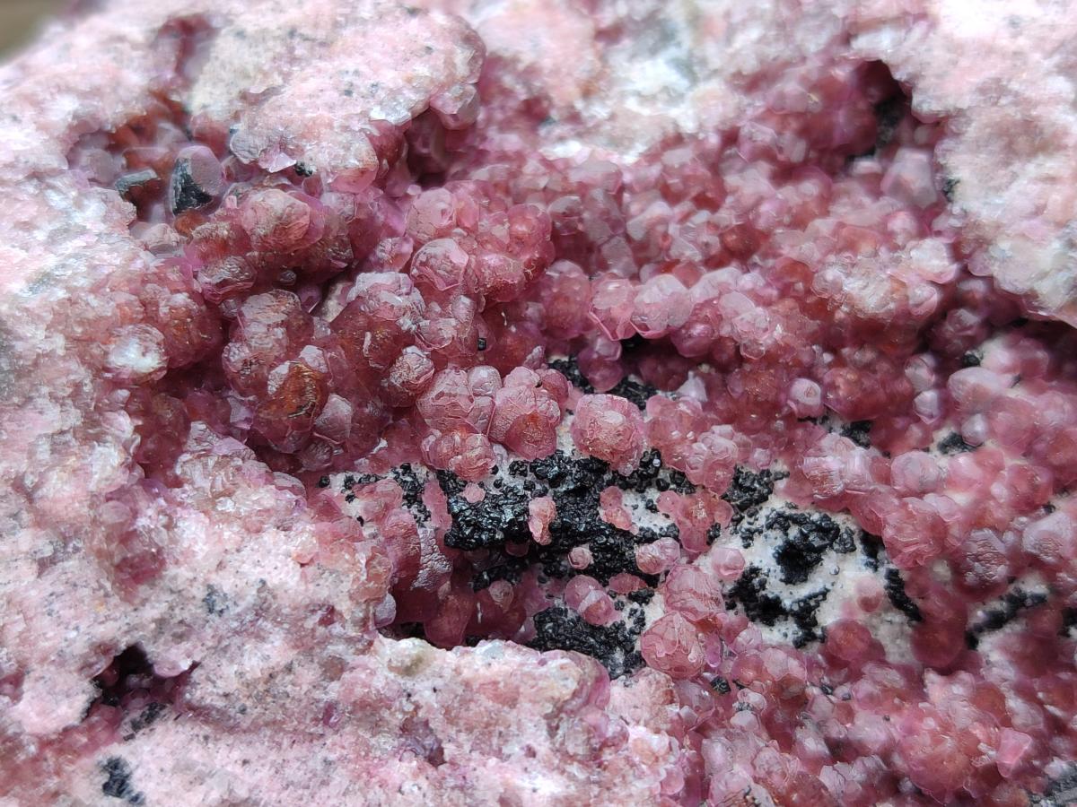 Natural Large Spherocobaltite Specimen x 1 From Mashamba West Mine, Congo