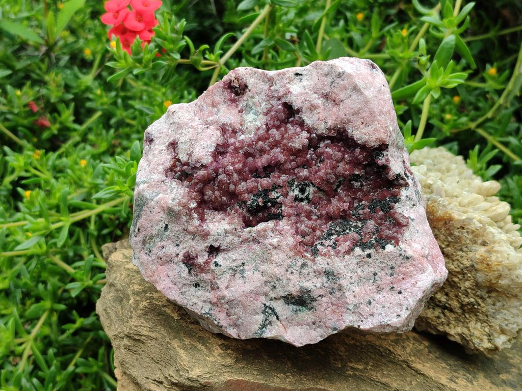 Natural Large Spherocobaltite Specimen x 1 From Mashamba West Mine, Congo