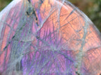 Polished Rare Purple Sunset Flash Labradorite Standing Display Piece x 3 From Madagascar