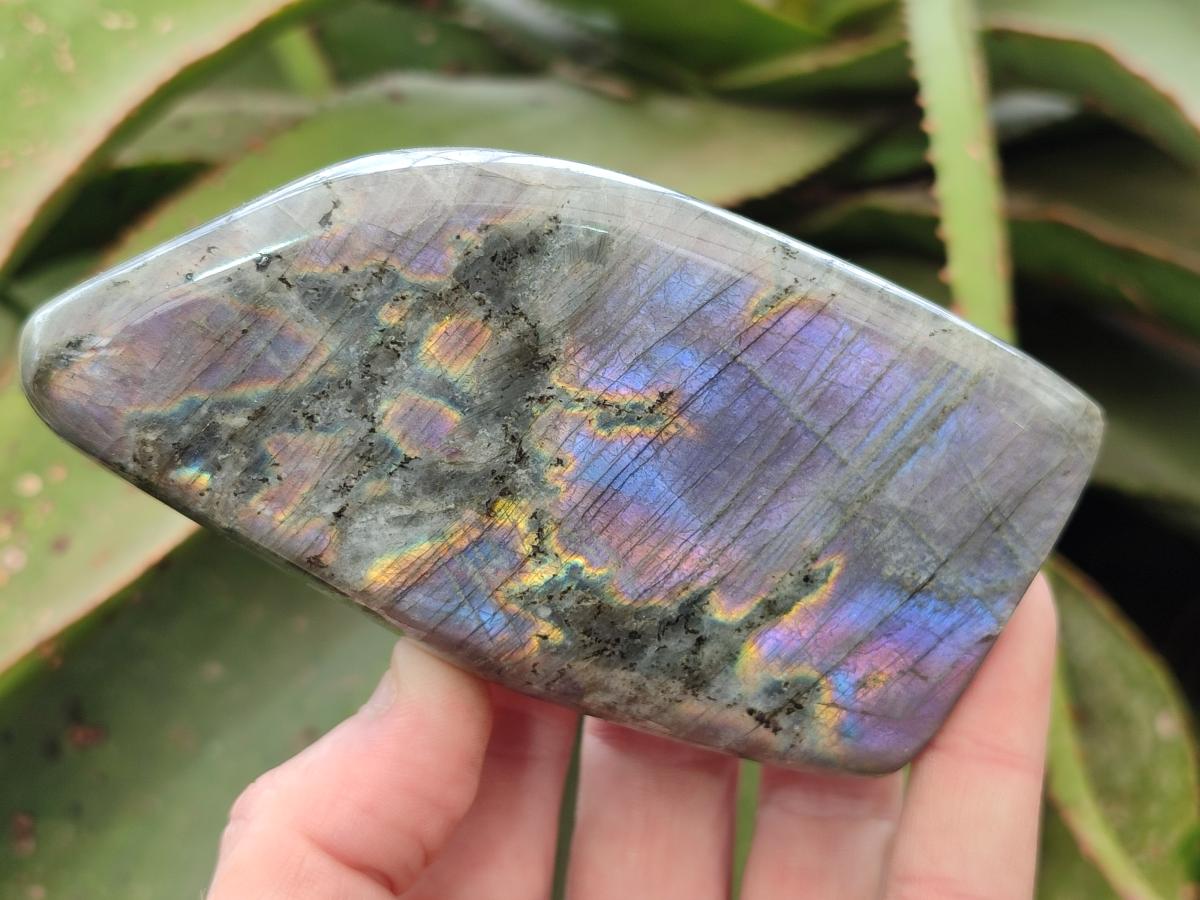 Polished Rare Purple Sunset Flash Labradorite Standing Display Piece x 3 From Madagascar