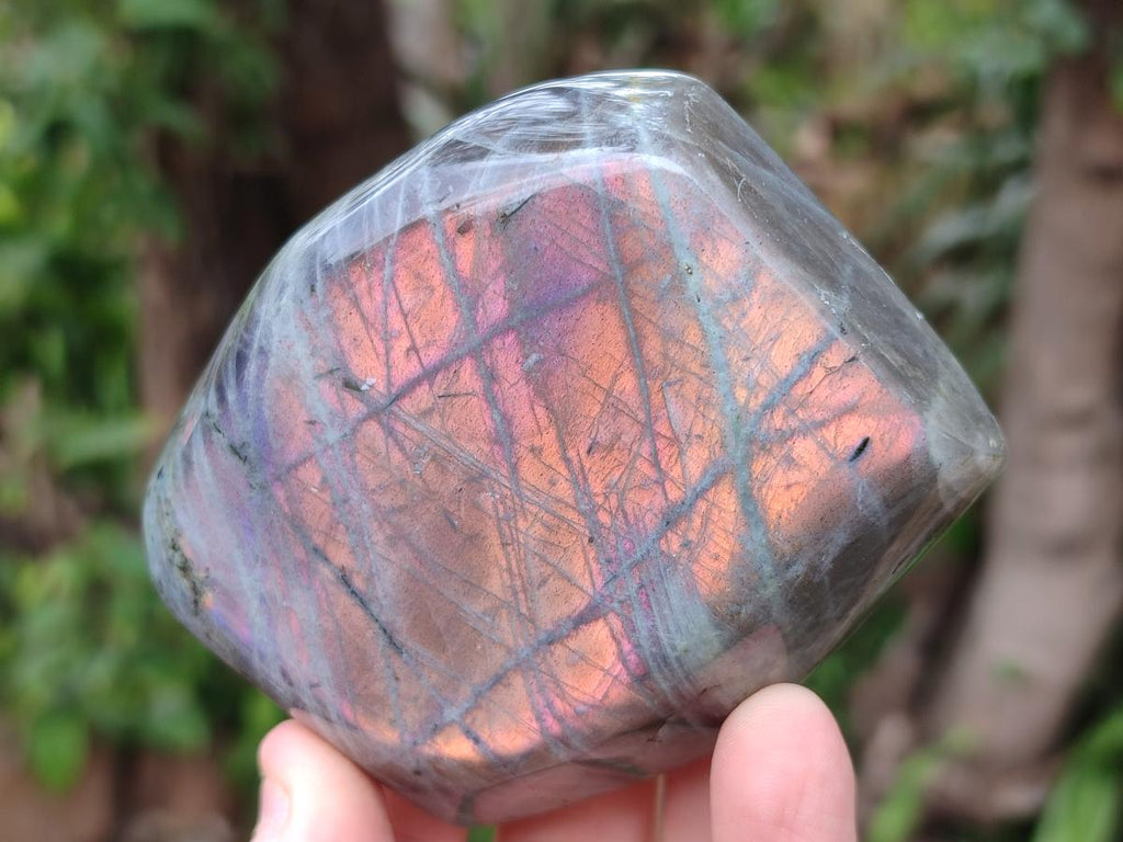 Polished Rare Purple Sunset Flash Labradorite Standing Display Piece x 3 From Madagascar