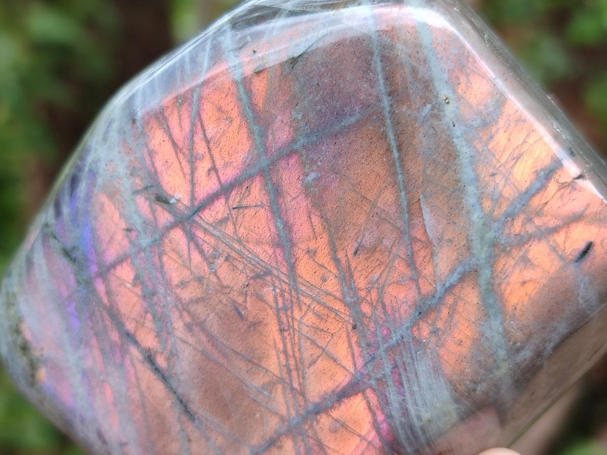 Polished Rare Purple Sunset Flash Labradorite Standing Display Piece x 3 From Madagascar