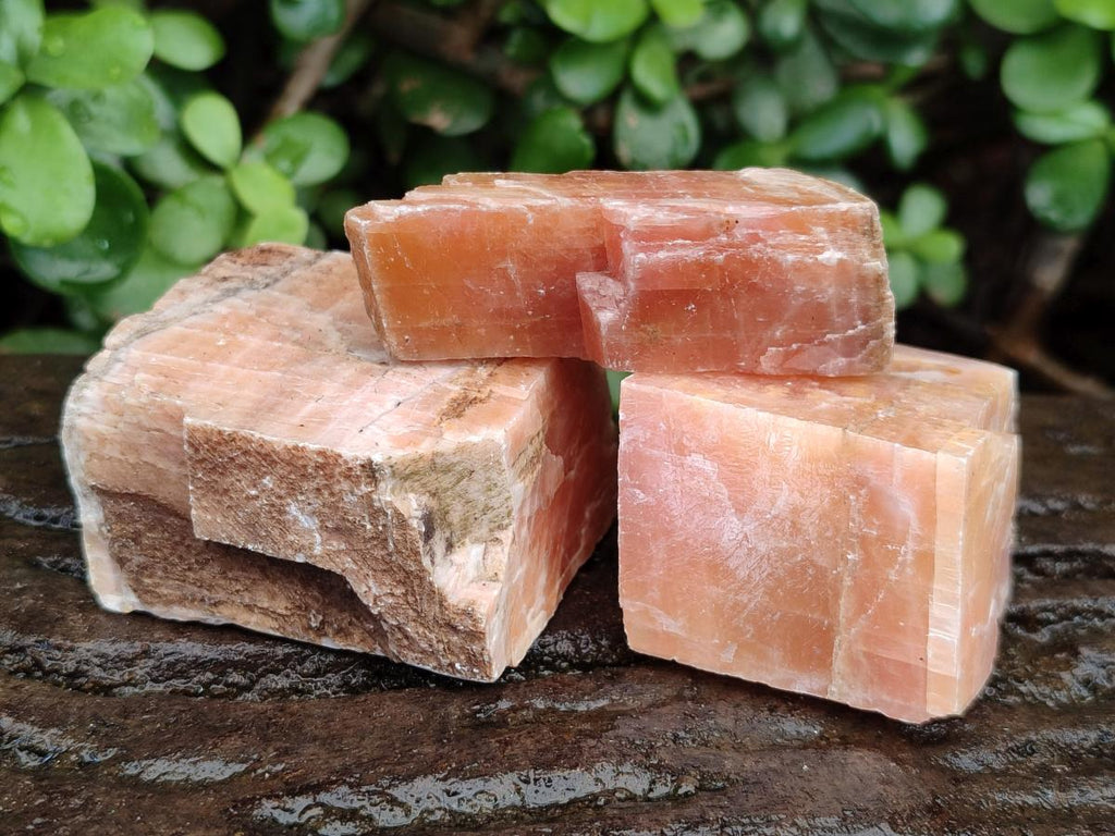 Natural Rhombohedral Sunset Orange Calcite Specimens x 25 From Spitzkop, Namibia