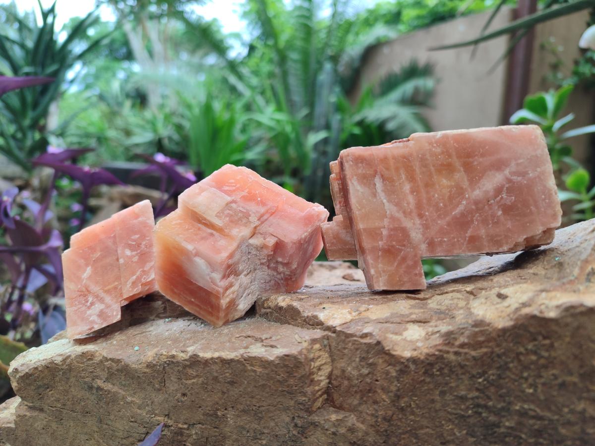 Natural Rhombohedral Sunset Orange Calcite Specimens x 25 From Spitzkop, Namibia