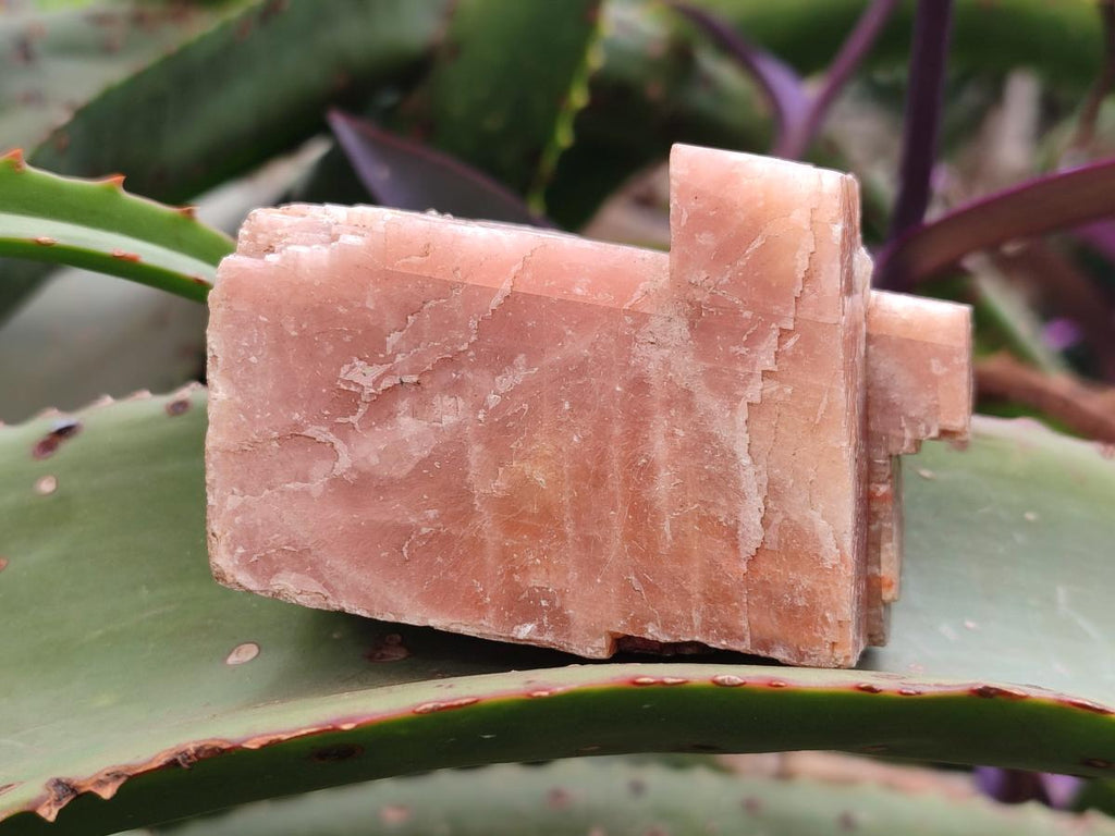 Natural Rhombohedral Sunset Orange Calcite Specimens x 25 From Spitzkop, Namibia