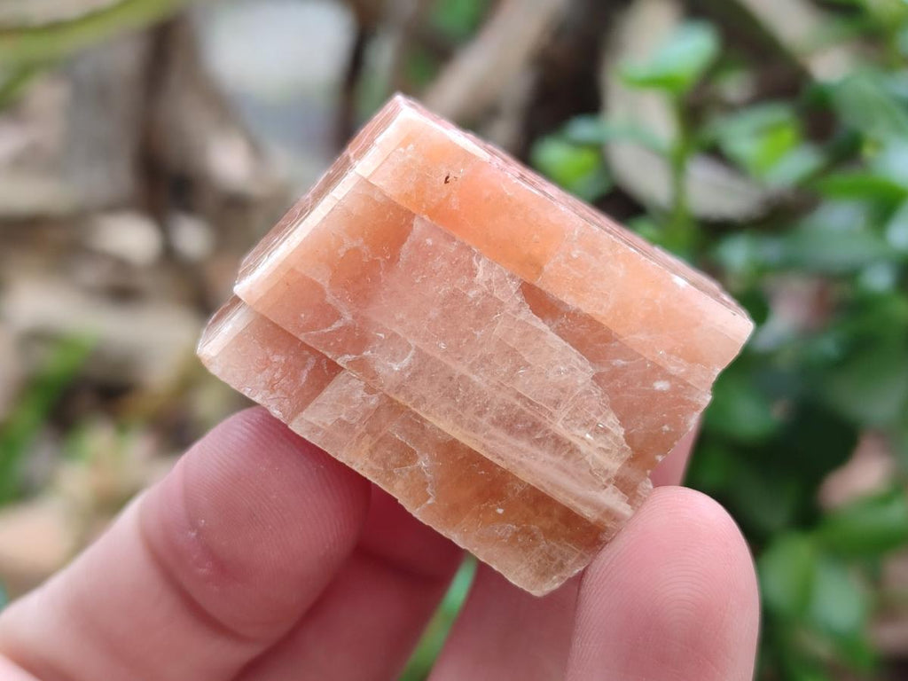 Natural Rhombohedral Sunset Orange Calcite Specimens x 25 From Spitzkop, Namibia