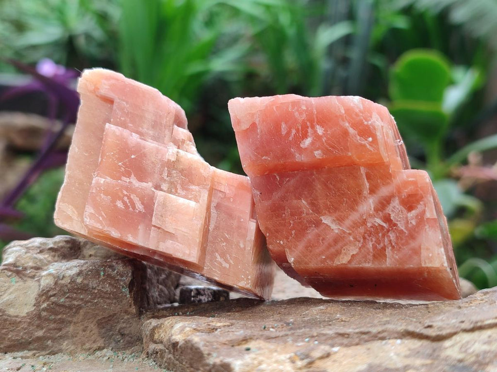 Natural Rhombohedral Sunset Orange Calcite Specimens x 25 From Spitzkop, Namibia