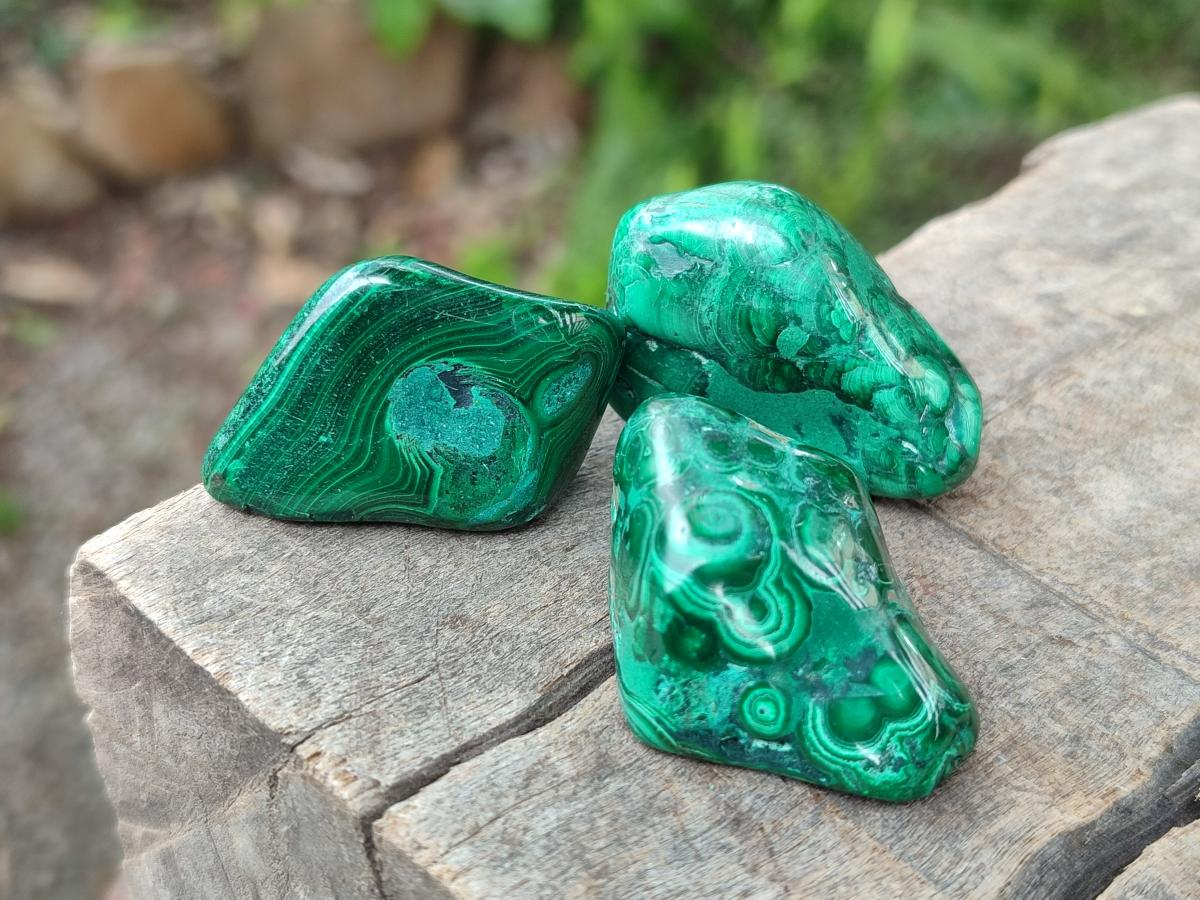 Polished Flower Banded Malachite Free Forms x 35 From Congo