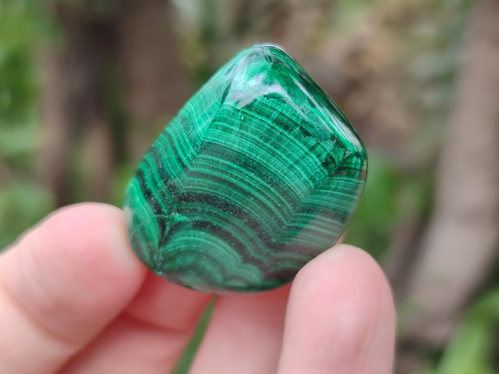 Polished Flower Banded Malachite Free Forms x 35 From Congo