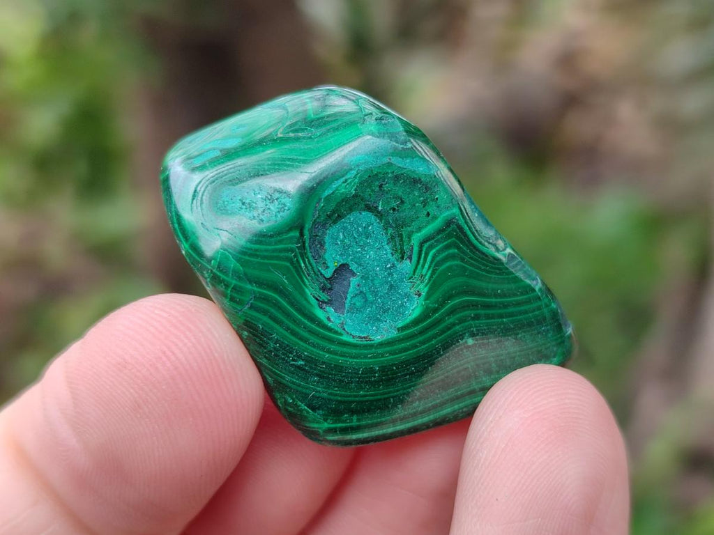 Polished Flower Banded Malachite Free Forms x 35 From Congo