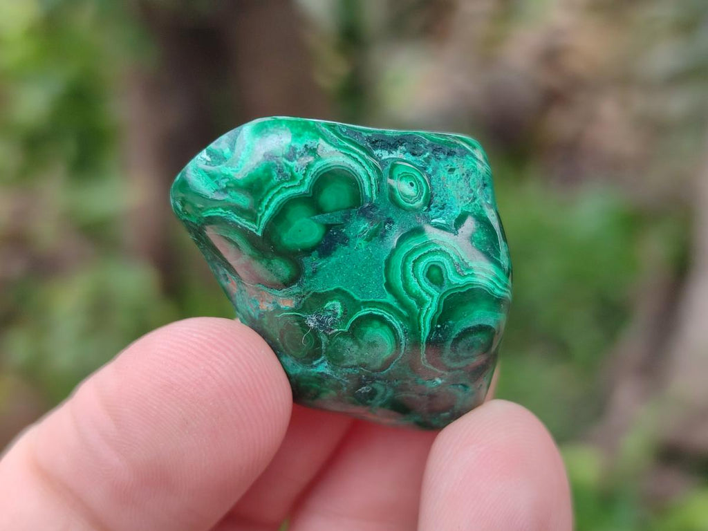 Polished Flower Banded Malachite Free Forms x 35 From Congo