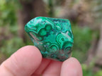 Polished Flower Banded Malachite Free Forms x 35 From Congo