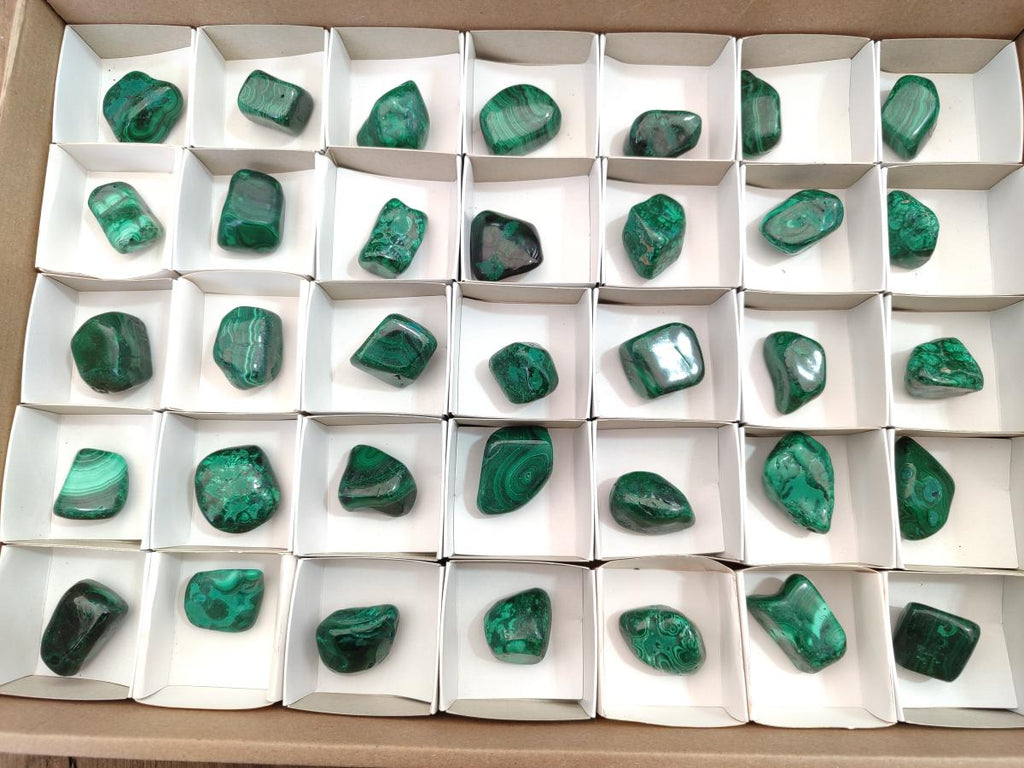 Polished Flower Banded Malachite Free Forms x 35 From Congo