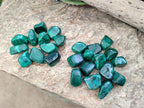 Polished Flower Banded Malachite Free Forms x 35 From Congo