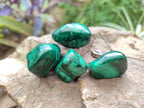 Polished Flower Banded Malachite Free Forms x 35 From Congo