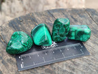 Polished Flower Banded Malachite Free Forms x 35 From Congo