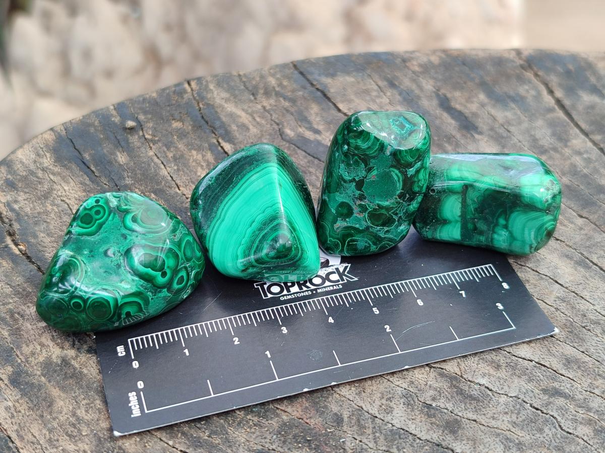 Polished Flower Banded Malachite Free Forms x 35 From Congo