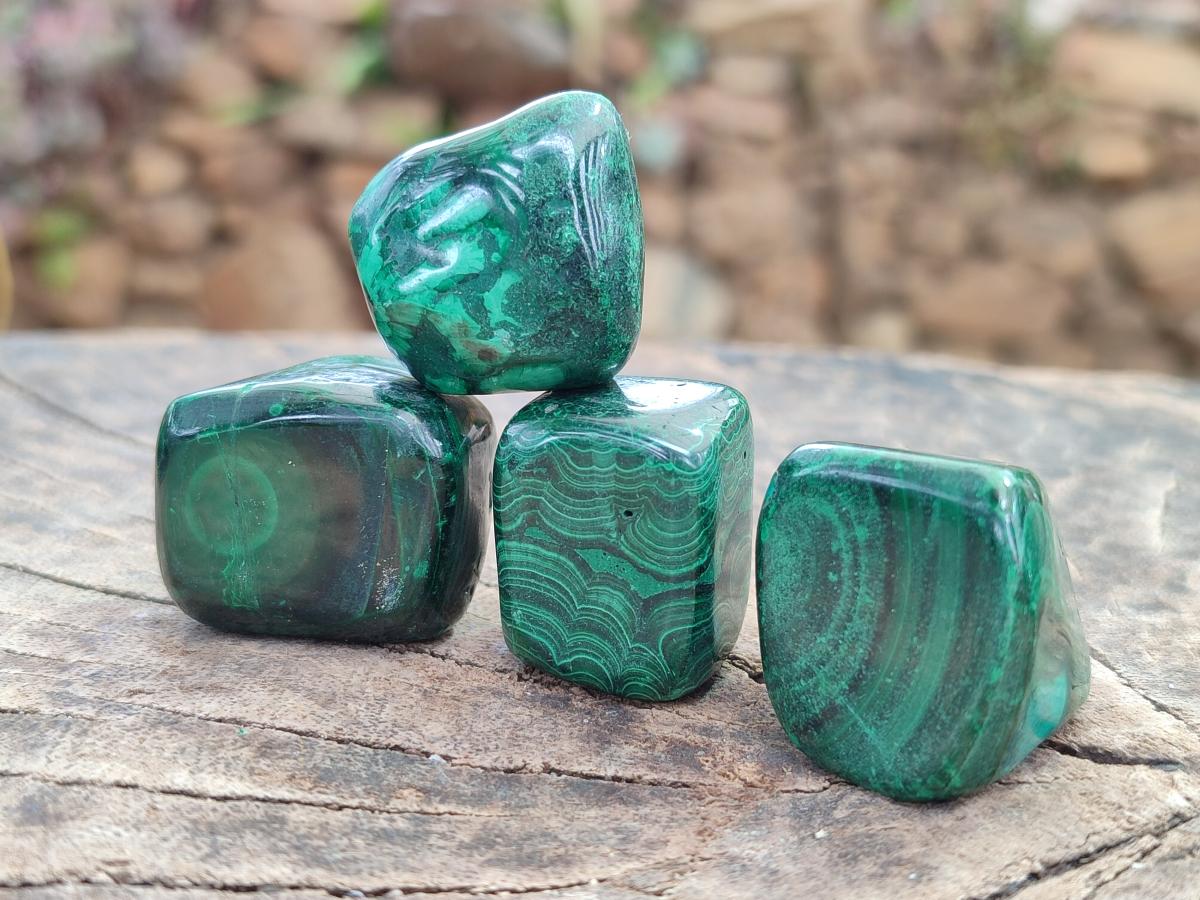 Polished Flower Banded Malachite Free Forms x 35 From Congo