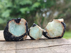 Natural Rare Aquamarine in Black Tourmaline Specimens x 76 From Karibib, Namibia