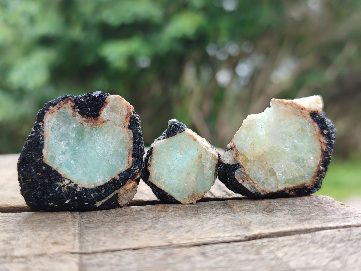 Natural Rare Aquamarine in Black Tourmaline Specimens x 76 From Karibib, Namibia