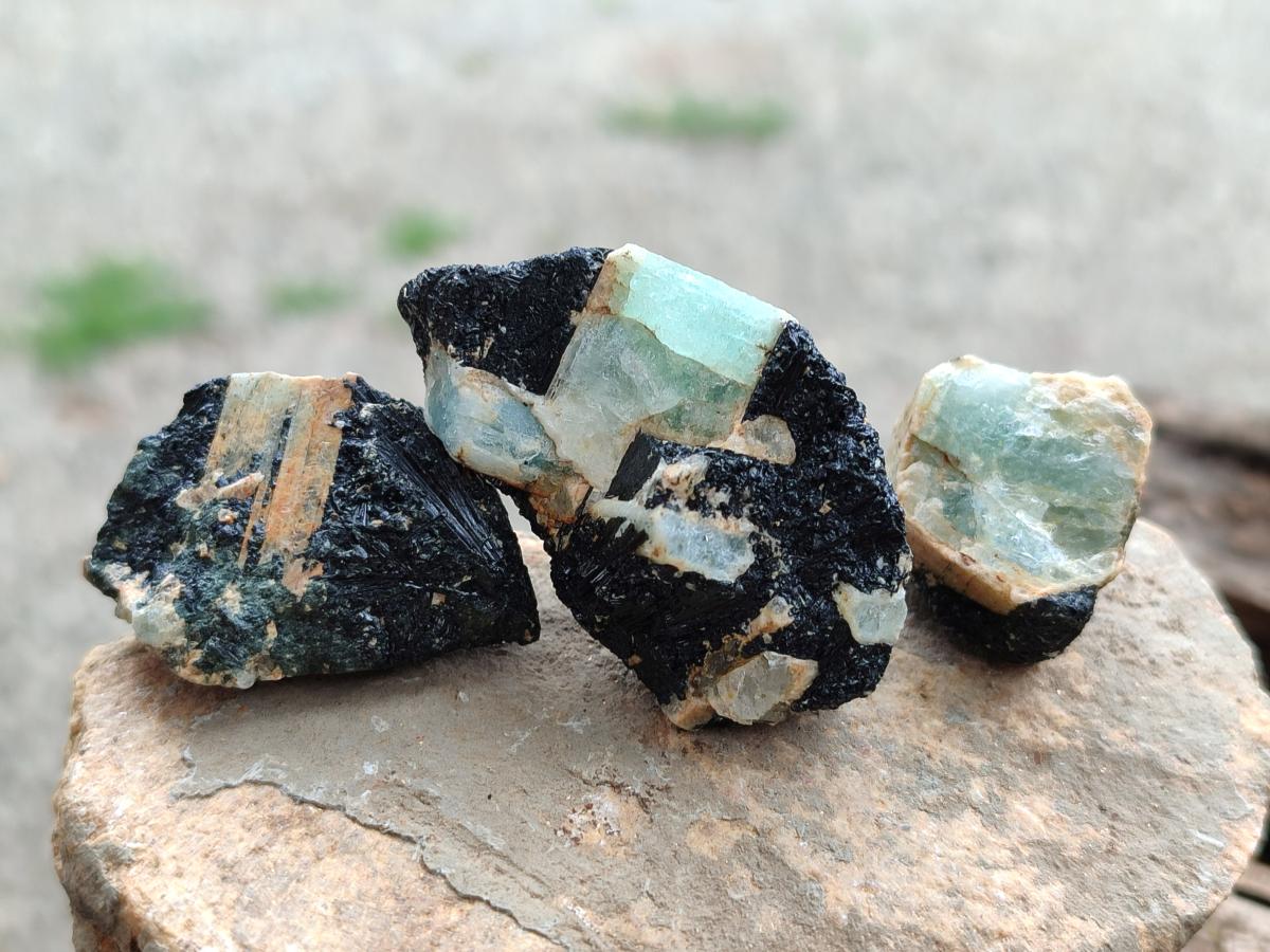 Natural Rare Aquamarine in Black Tourmaline Specimens x 76 From Karibib, Namibia