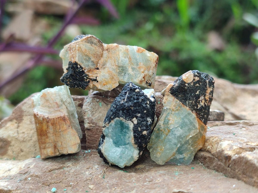 Natural Rare Aquamarine in Black Tourmaline Specimens x 76 From Karibib, Namibia