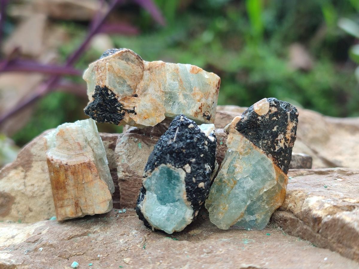 Natural Rare Aquamarine in Black Tourmaline Specimens x 76 From Karibib, Namibia
