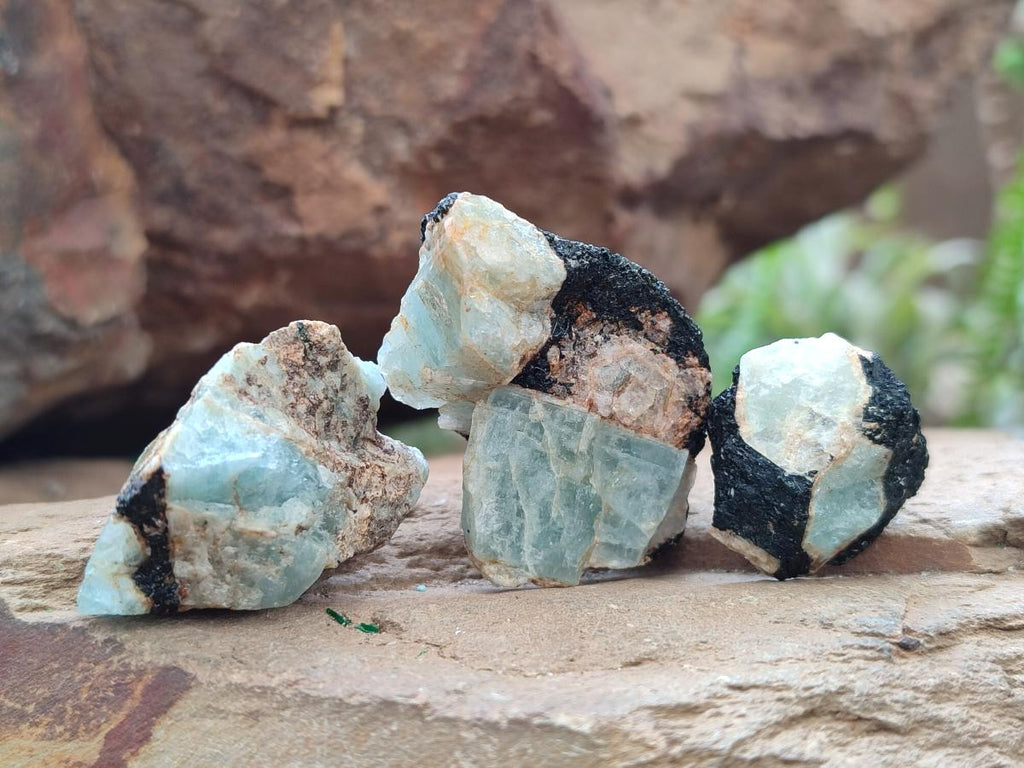 Natural Rare Aquamarine in Black Tourmaline Specimens x 76 From Karibib, Namibia
