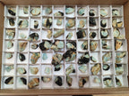 Natural Rare Aquamarine in Black Tourmaline Specimens x 76 From Karibib, Namibia