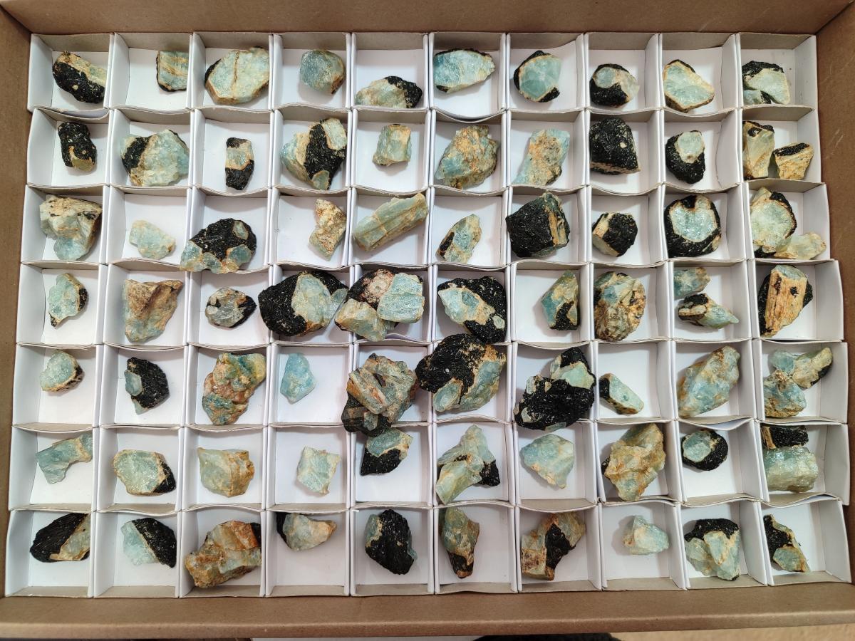 Natural Rare Aquamarine in Black Tourmaline Specimens x 76 From Karibib, Namibia