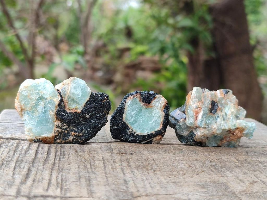 Natural Rare Aquamarine in Black Tourmaline Specimens x 76 From Karibib, Namibia