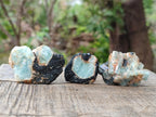 Natural Rare Aquamarine in Black Tourmaline Specimens x 76 From Karibib, Namibia